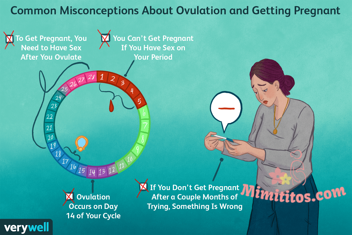 16 verdades sobre el embarazo y la ovulación