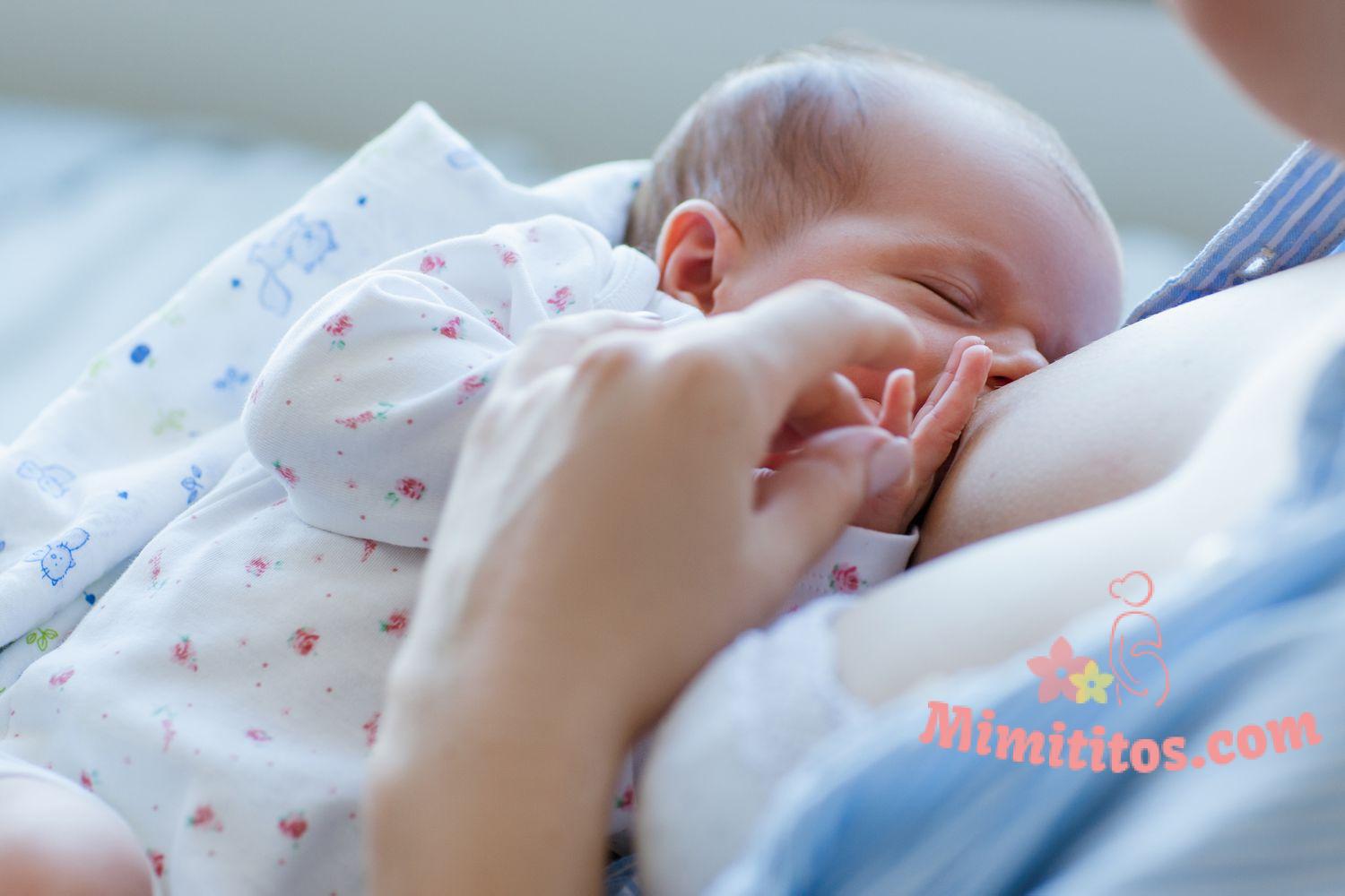 Horarios de alimentación de recién nacidos y bebés