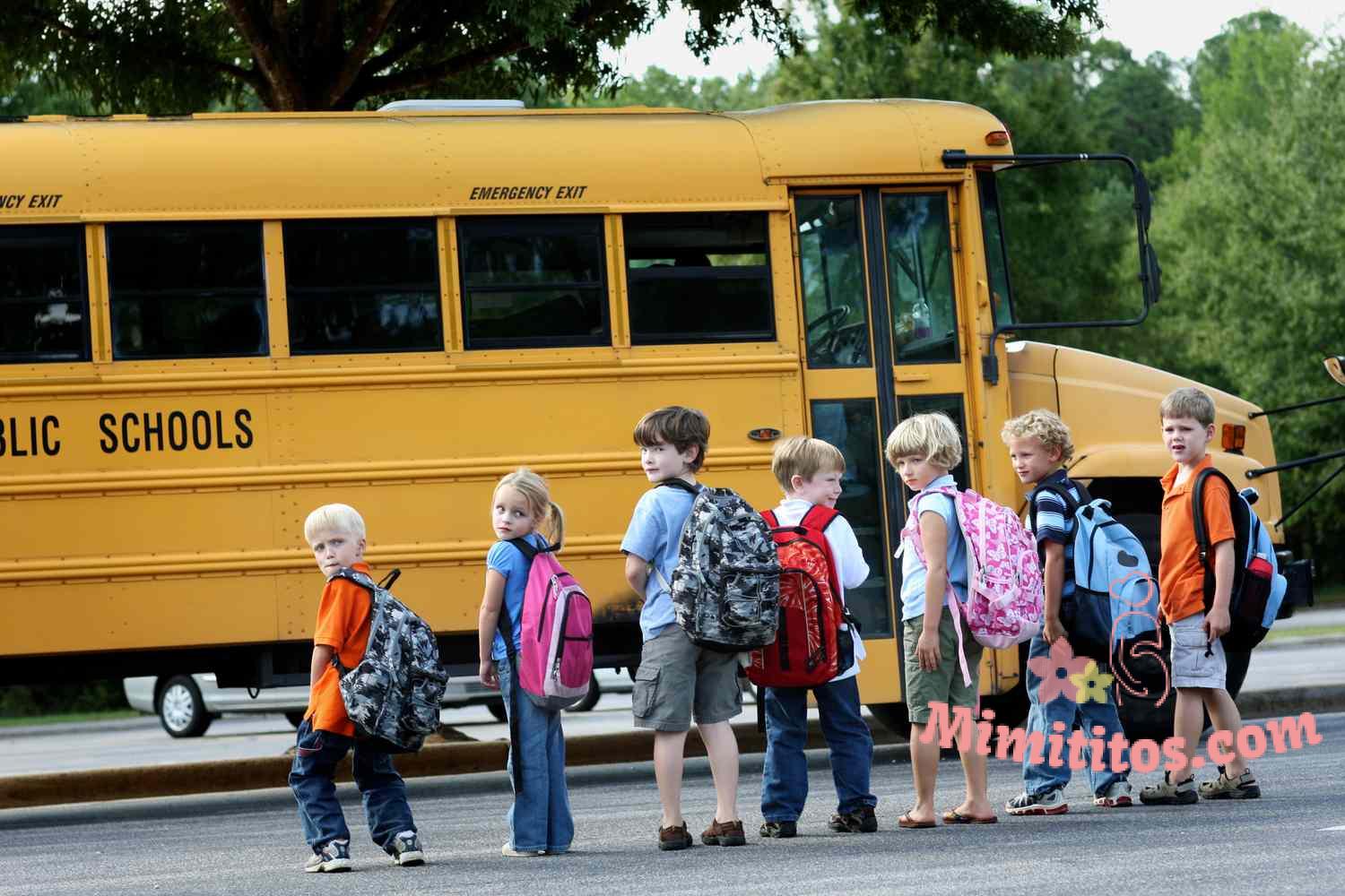 Seguridad en el autobús escolar para niños
