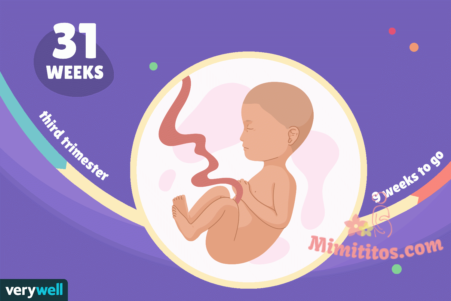 Semana 31 de su embarazo
