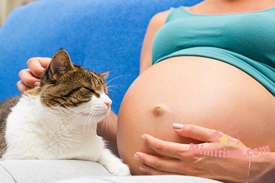 mujeres embarazadas toxoplasmosis